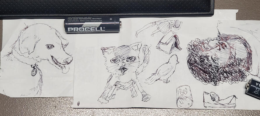 Pen sketch(es) that I've made quickly at work. Original artwork(s).