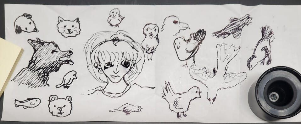 Pen sketch(es) that I've made quickly at work. Original artwork(s).