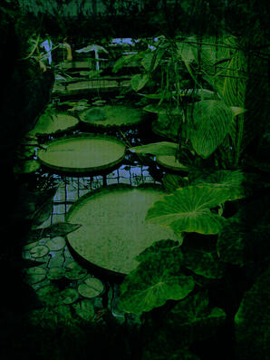 A drawing of a water lily pond that I made... It is stylized in a way that's meant to evoke a feeling similar to 128-bit pixel art or old ASCII art without actually being in that style.