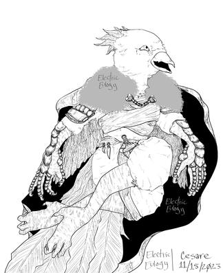 Deydre is an Aarakocra DnD character belonging to one of my friends.